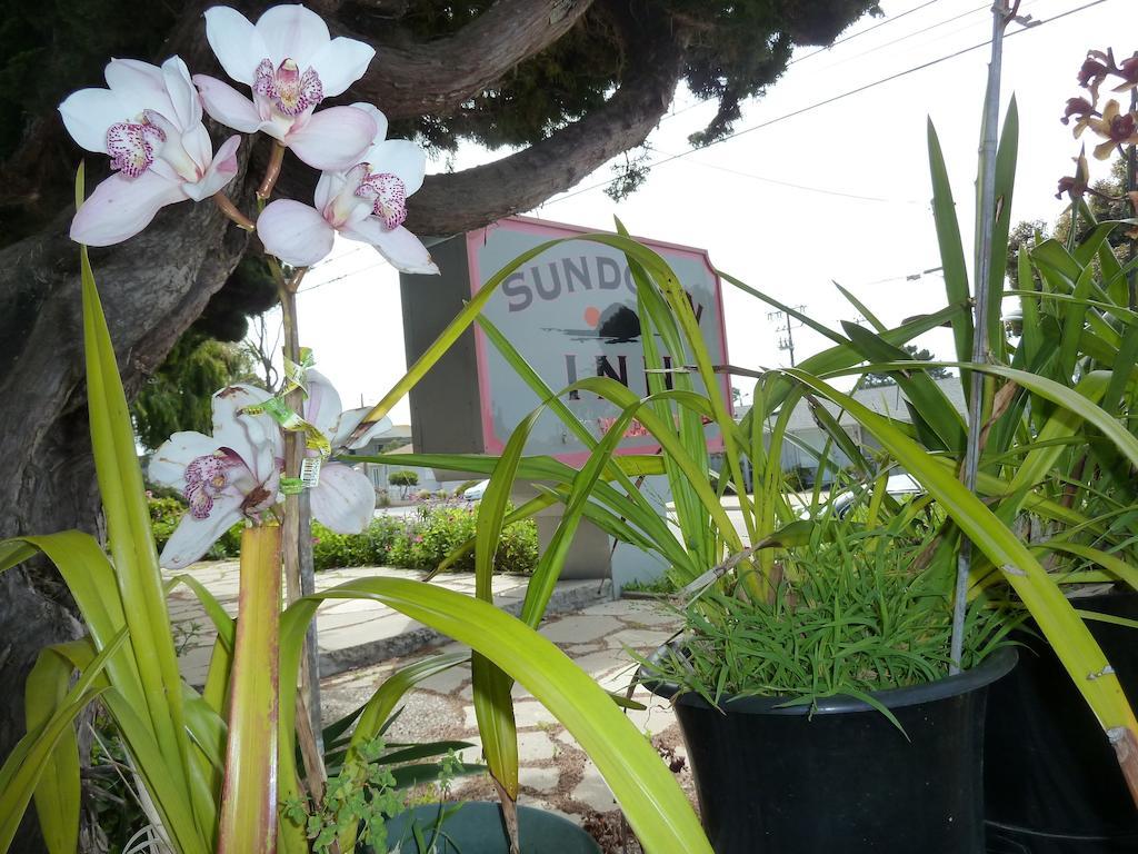 Sundown Inn Of Morro Bay Luaran gambar